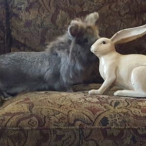 Meet your Posher, Lori